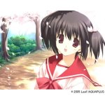 To Heart 2 XRATED 通常版